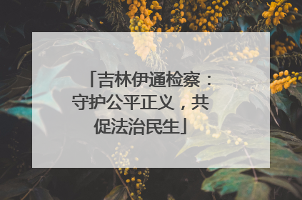 吉林伊通检察：守护公平正义，共促法治民生