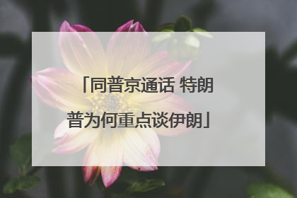 同普京通话 特朗普为何重点谈伊朗