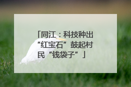 同江：科技种出“红宝石”鼓起村民“钱袋子”