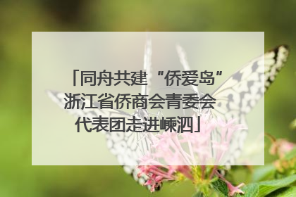 同舟共建“侨爱岛” 浙江省侨商会青委会代表团走进嵊泗