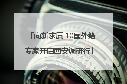 向新求质 10国外籍专家开启西安调研行