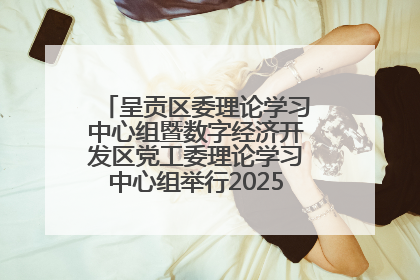 呈贡区委理论学习中心组暨数字经济开发区党工委理论学习中心组举行2025年第七次学习会议