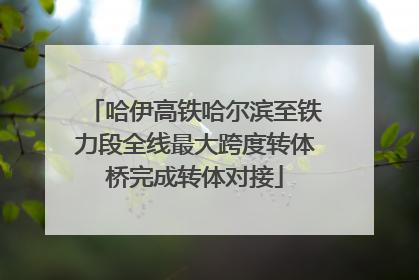 哈伊高铁哈尔滨至铁力段全线最大跨度转体桥完成转体对接