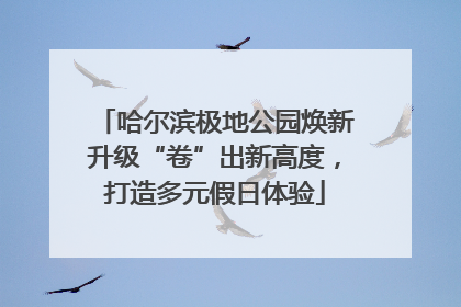 哈尔滨极地公园焕新升级“卷”出新高度，打造多元假日体验