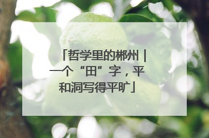 哲学里的郴州｜一个“田”字，平和洞写得平旷