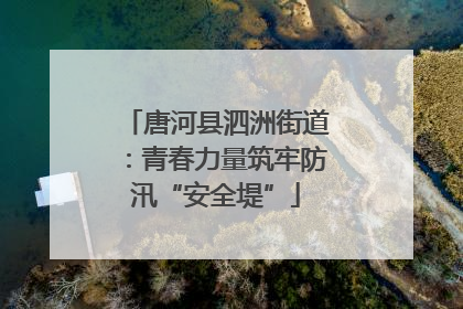 唐河县泗洲街道：青春力量筑牢防汛“安全堤”