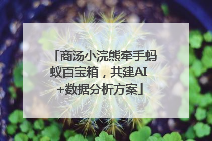 商汤小浣熊牵手蚂蚁百宝箱，共建AI+数据分析方案