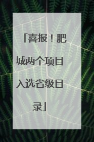 喜报！肥城两个项目入选省级目录