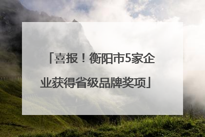 喜报！衡阳市5家企业获得省级品牌奖项