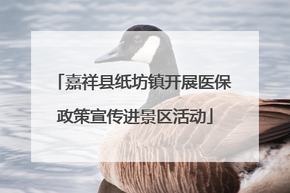 嘉祥县纸坊镇开展医保政策宣传进景区活动