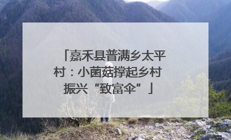 嘉禾县普满乡太平村：小菌菇撑起乡村振兴“致富伞”