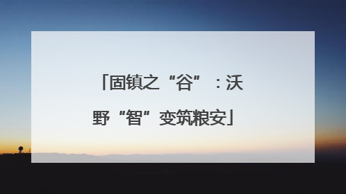 固镇之“谷”：沃野“智”变筑粮安