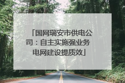 国网瑞安市供电公司：自主实施强业务 电网建设提质效