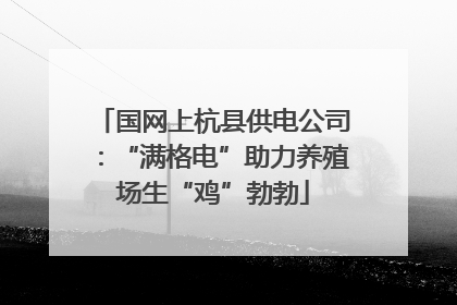 国网上杭县供电公司：“满格电”助力养殖场生“鸡”勃勃