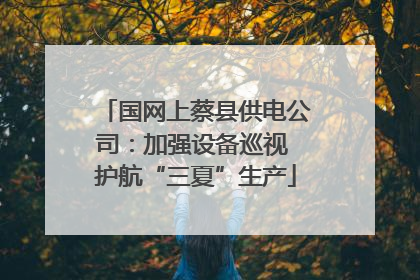 国网上蔡县供电公司：加强设备巡视 护航“三夏”生产
