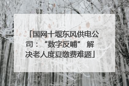国网十堰东风供电公司：“数字反哺” 解决老人度夏缴费难题