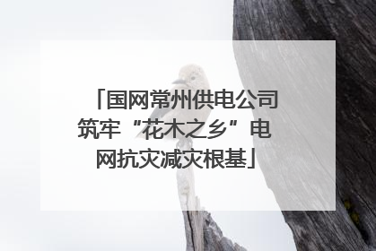 国网常州供电公司筑牢“花木之乡”电网抗灾减灾根基