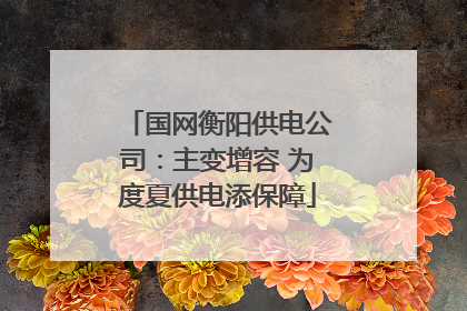 国网衡阳供电公司：主变增容 为度夏供电添保障