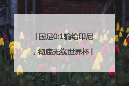 国足0:1输给印尼，彻底无缘世界杯