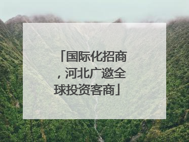 国际化招商，河北广邀全球投资客商