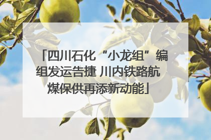 四川石化“小龙组”编组发运告捷 川内铁路航煤保供再添新动能