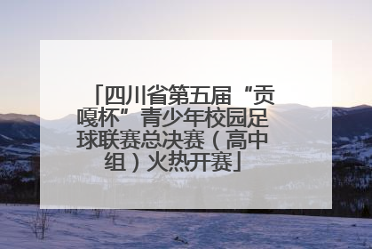 四川省第五届“贡嘎杯”青少年校园足球联赛总决赛（高中组）火热开赛