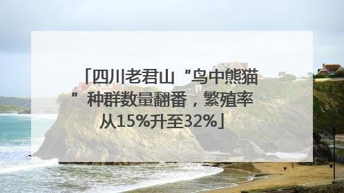 四川老君山“鸟中熊猫”种群数量翻番，繁殖率从15%升至32%