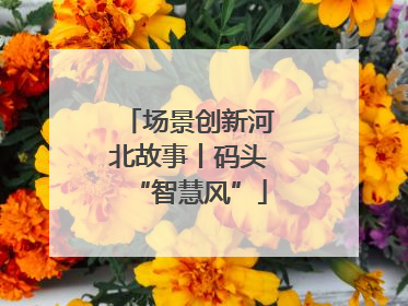 场景创新河北故事丨码头“智慧风”