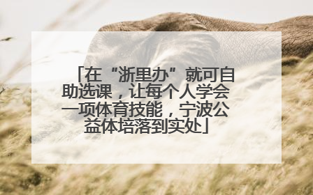 在“浙里办”就可自助选课，让每个人学会一项体育技能，宁波公益体培落到实处