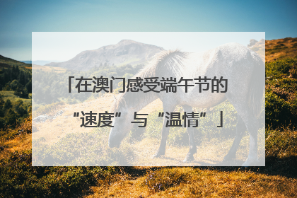 在澳门感受端午节的“速度”与“温情”