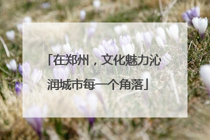 在郑州，文化魅力沁润城市每一个角落