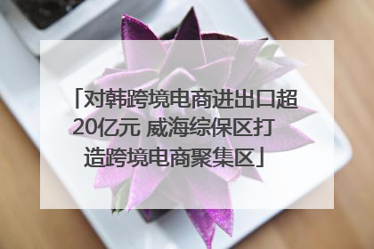 对韩跨境电商进出口超20亿元 威海综保区打造跨境电商聚集区