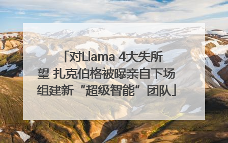 对Llama 4大失所望 扎克伯格被曝亲自下场组建新“超级智能”团队