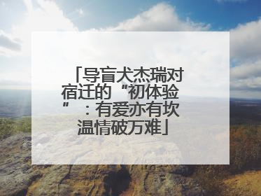 导盲犬杰瑞对宿迁的“初体验”：有爱亦有坎 温情破万难