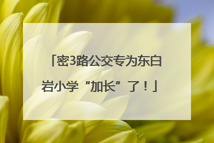 密3路公交专为东白岩小学“加长”了！