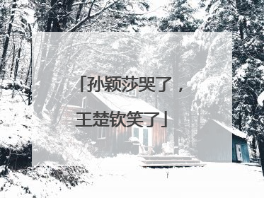 孙颖莎哭了，王楚钦笑了