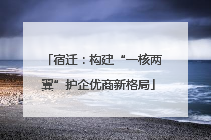 宿迁：构建“一核两翼”护企优商新格局