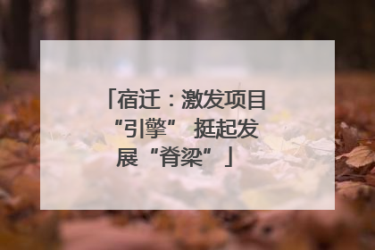 宿迁：激发项目“引擎” 挺起发展“脊梁”