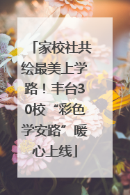 家校社共绘最美上学路！丰台30校“彩色学安路”暖心上线