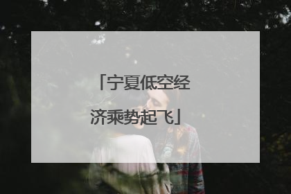 宁夏低空经济乘势起飞