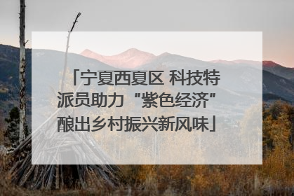 宁夏西夏区 科技特派员助力“紫色经济”酿出乡村振兴新风味