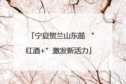 宁夏贺兰山东麓 “红酒+”激发新活力