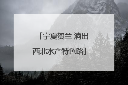 宁夏贺兰 淌出西北水产特色路