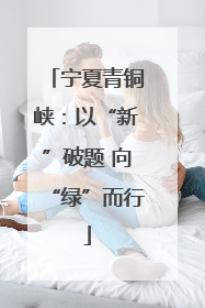 宁夏青铜峡：以“新”破题 向“绿”而行