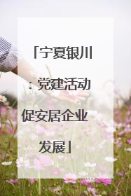 宁夏银川：党建活动促安居企业发展