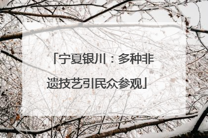 宁夏银川：多种非遗技艺引民众参观