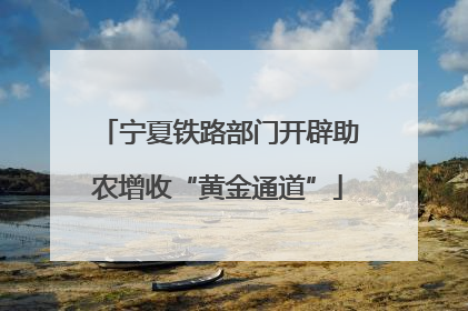 宁夏铁路部门开辟助农增收“黄金通道”