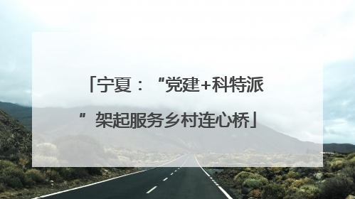 宁夏：“党建+科特派”架起服务乡村连心桥