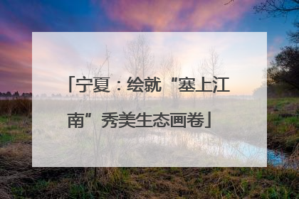 宁夏：绘就“塞上江南”秀美生态画卷