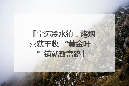 宁远冷水镇：烤烟喜获丰收 “黄金叶”铺就致富路